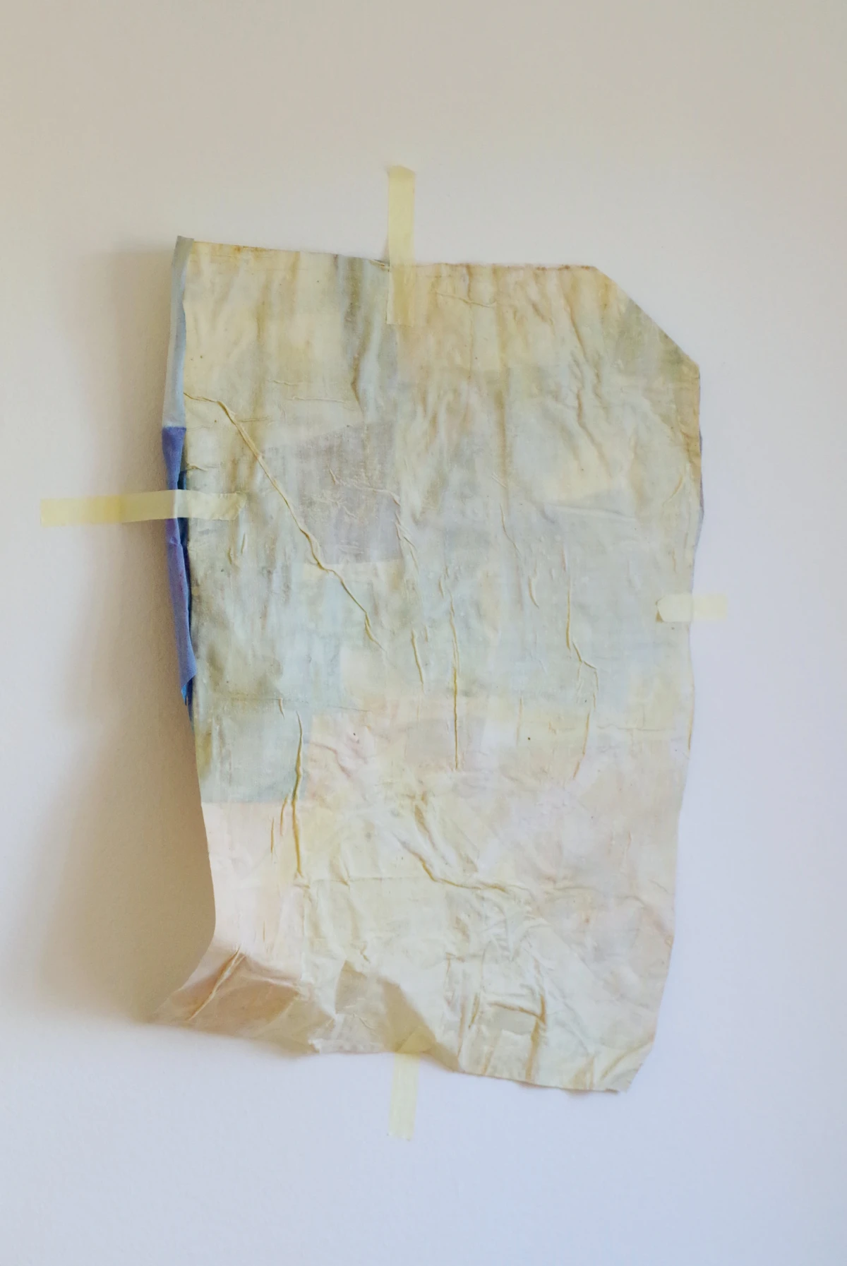 Small fish_the first [97/45cm] Textile remnants stiffened with bone glue, coloured with mineral and earth pigments - Zoe Bilgeri/ 2025/ Zuerich